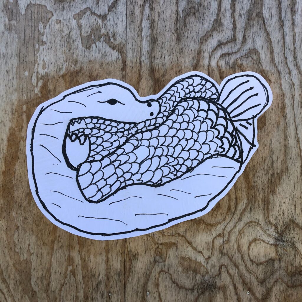 Holdoversigt sæson 24/25 – Kulturskolerne